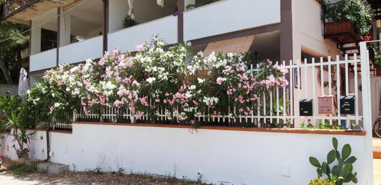 Casa Perciata - Locazione Turistica Lejlighed Mondello Eksteriør billede