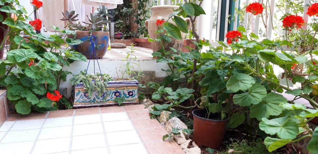 Casa Perciata - Locazione Turistica Lejlighed Mondello Eksteriør billede